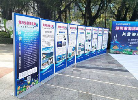 汶川KT板的种类和知识。